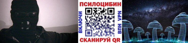 Псилоцибиновые грибы прущие грибы  где можно купить   Елабуга 