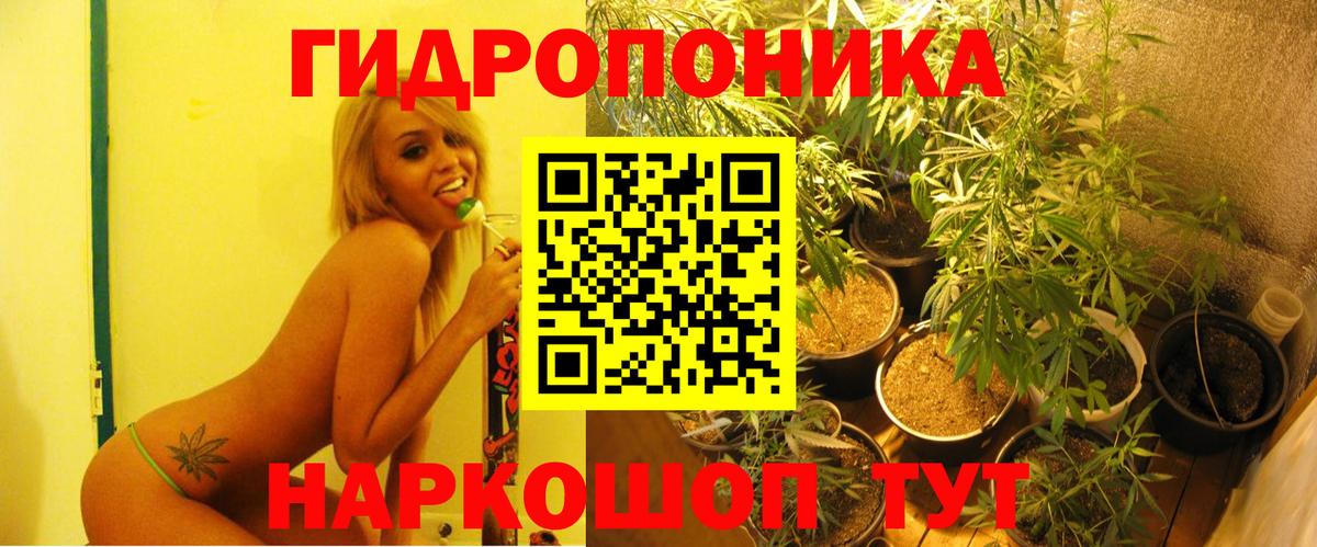 МАРИХУАНА гибрид  Бошки Шишки OG Kush  МАРИХУАНА OG Kush  Елабуга  Вход с VPN 